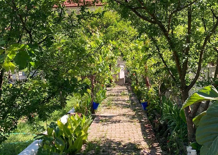 Sdogu Evleri מרמריס