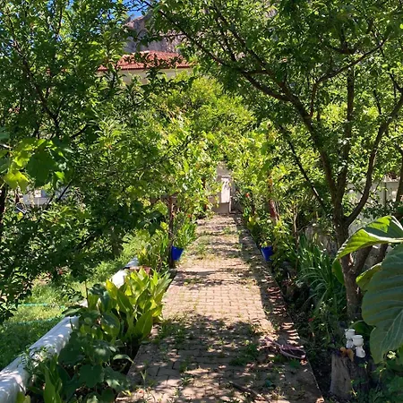 Sdogu Evleri Marmaris
